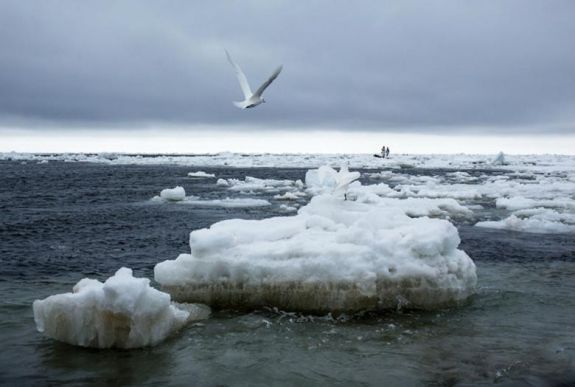 Bírói döntés: Trump nem engedélyezheti az olaj-, és gázkitermelést Alaszkánál
