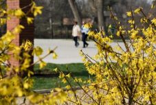 Időjárás: jó hírünk van, ha már nagyon várta a tavaszt