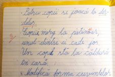 „Apa, nem értem, hol hibáztam?” – megszégyenült egy hazai pedagógus