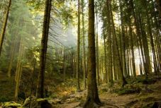 FRISSÍTVE - Újabb visszaszolgáltatott Bánffy-vagyonokat perelt vissza a román állam