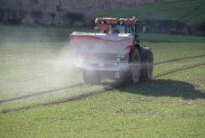 Beazonosították a rejtélyes aradi bűz forrását 