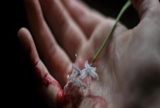 Bartha Réka: Nőnapra, szeretettel