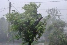 Áram nélkül maradt hat Hargita megyei település