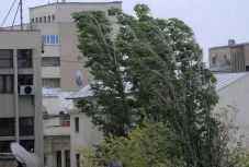 Elsőfokú szélriasztás van érvényben hét erdélyi megyében