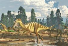 Eddig teljesen ismeretlen dinoszauruszfaj maradványait fedezték fel