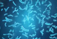 Több mint hétezer új tengeri mikrobafajt fedeztek fel