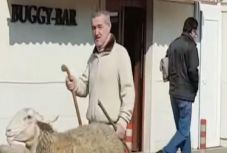 Idén is „megsétáltatta” juhait faluja főutcáján Gigi Becali