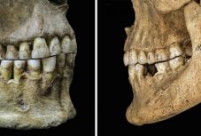 Nagy hatással volt őseink táplálkozása a mai emberi beszédre