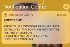 RO-ALERT-tel riasztották a sepsiszentgyörgyieket: medve járkál a városban