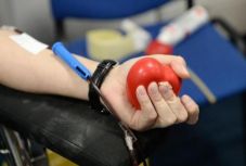 Módosult a törvény: Sms-ben kérik és köszönik meg a véradást