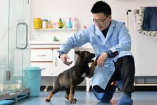 Rendőrkutyát klónoztak Kínában