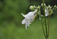 Ilyen lesz az időjárás a következő két hétben