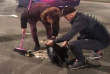 Összesepertették a fiatalokkal a földre köpött szotyihéjat