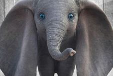 Nyomokban Tim Burtont tartalmaz - Tim Burton: Dumbo / Dumbó