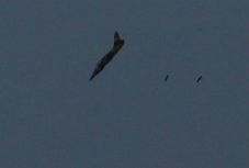 Izraeli rakétatámadást vert vissza a szíriai légvédelem