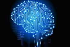 A matematika segítségével osztályozzák az agysejteket a kutatók