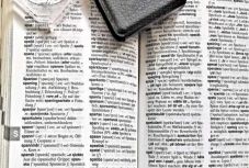 Mintegy 1,5 megabájt adatot foglal el az agyban a nyelvismeret