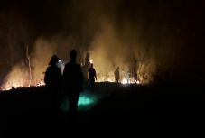 Hatvan hektárnyi terület égett fel Bihar megyében egyetlen napon