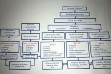 Radikális változásokat vezetne be az új tanügyi törvénybe Ecaterina Andronescu