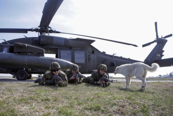 Tizenöt éve NATO-tag Románia: így alakult át az ország hadserege