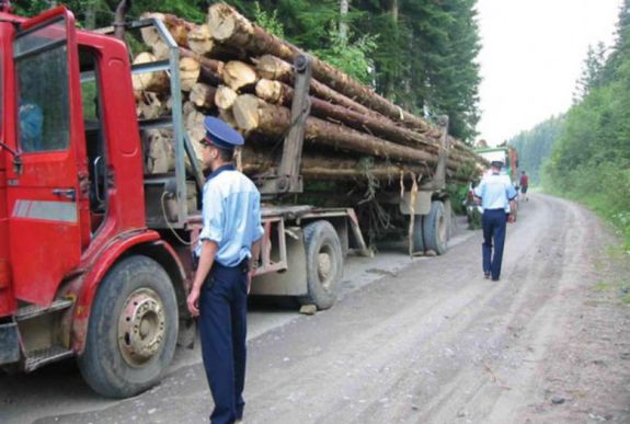 Alkotmányellenes az a törvény, amely szerint elkobozható az ellopott fát szállító jármű