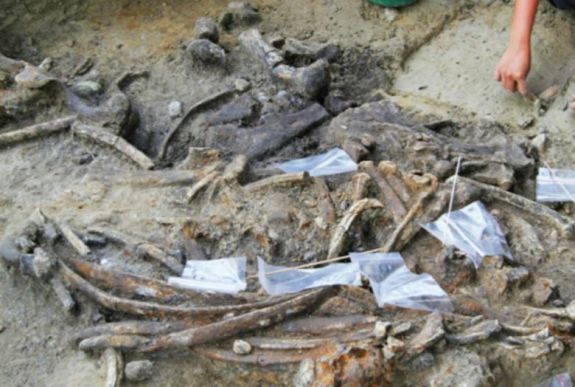 Új emberfaj nyomaira bukkantak a Fülöp-szigeteken