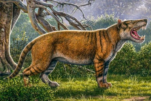 A valaha élt egyik legnagyobb húsevő emlős maradványaira bukkantak