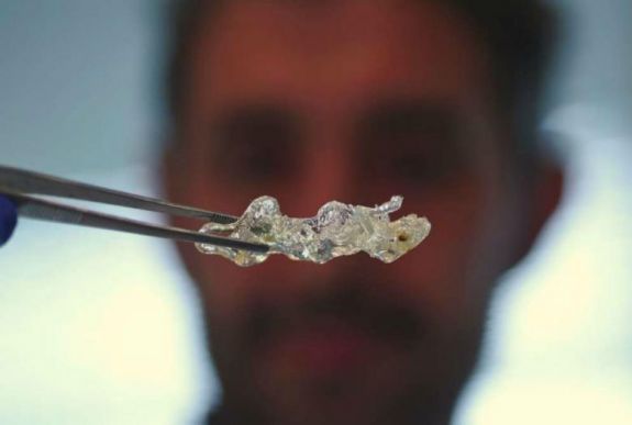 Átlátszó emberi szerveket alkottak német tudósok