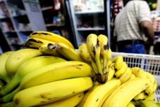 Erdélyi magyar vállalkozó látja el banánnal fél Romániát