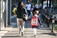 Oktatási reform, Andronescu-módra: így képzeli el az iskolai ciklusokat a tanügyminiszter 