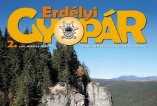Korhatár nélküli pályázatot írt ki az Erdélyi Gyopár
