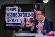 Vincze: a magyar közösséget az egész Kárpát-medencében támadások érik