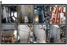 Tele van gombákkal és baktériumokkal a Nemzetközi Űrállomás