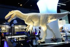 Tökéletes bőrlenyomattal fedett dinoszaurusz lábnyomokra bukkantak Dél-Koreában