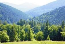 Megyei szinten is óvni lehet ezután a restitúciós ügyekben