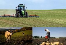 Az uniós megszorítások egybeesnek a józan paraszti ésszel – Haschi András APIA-igazgatót kérdeztük