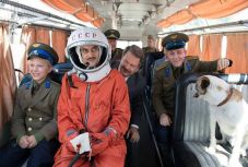 A sepsiszentgyörgyi Művész Moziban is megünneplik a magyar film napját