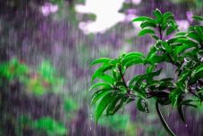 Ilyen lesz az időjárás a következő két hétben