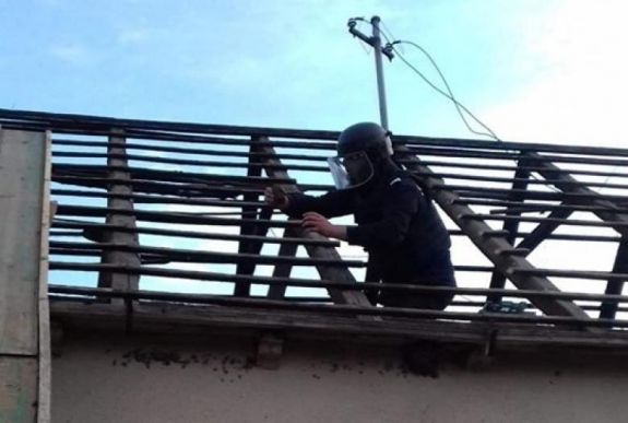 Világháborús támadó gránátokat találtak egy parajdi ház padlásán