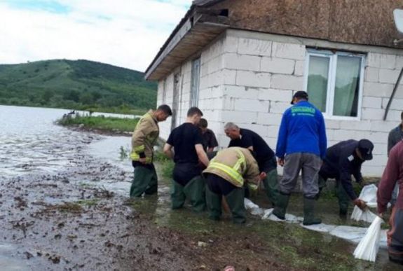 Több száz hektár termőföldet és legelőt öntött el a megáradt Maros