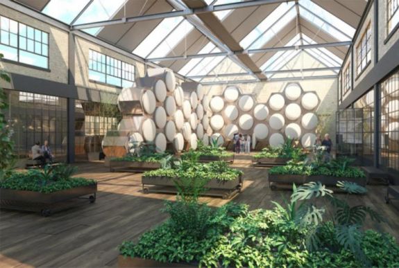 Washington államban engedélyezték az elhunyt emberek komposztálását