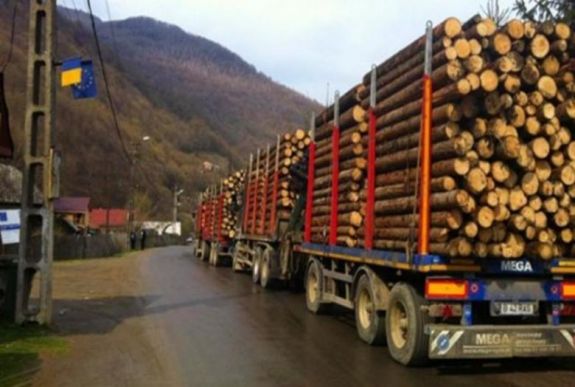 Tíz évre befagyasztaná a rönkfa exportját a nagyobbik kormánypárt elnöke