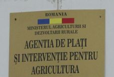 Fontos hírt kaptak a gazdák a területalapú támogatásokkal kapcsolatban