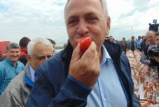 FRISSÍTVE – Csökkentik a bio és hagyományos termékek áfáját