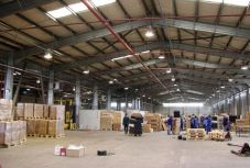 Román export: a multik nélkül egy szinten állnánk Ecuadorral és Kambodzsával