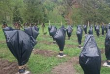 Úzvölgyi „feketezsákos” akció: riasztották az állami intézményeket