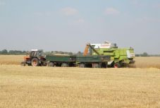 Tavaly több mint 12 millió tonna gabonát exportáltunk