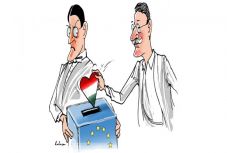 Ambrus Attila: Sportnyelven szólva