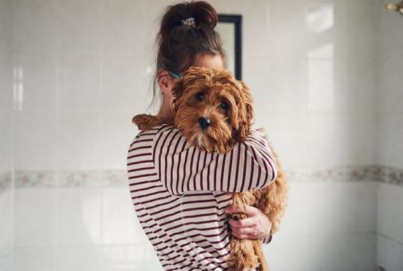 Kiderült: ha stresszesek vagyunk, a kutyánk is az lesz