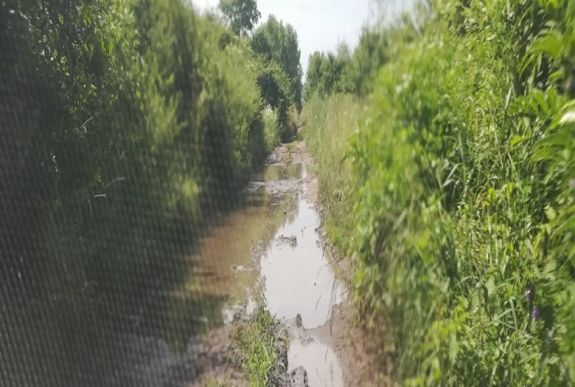 Szász István Szilárd: A rövidebb út